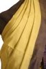 Handloom Pure Tussar Silk Saree